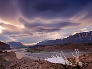 Moose_Antler_Alsek_River_Yukon_Canada_WC9aJ0nL2HOd.jpg