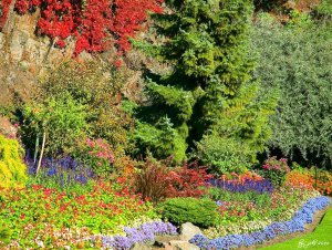 Vancouver, Queen Elizabeth Park 1.jpg