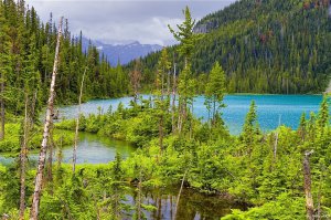 Jeoffrey Lakes.jpg