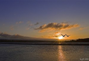 Richmond - Iona Beach Regional Park Sunrise.jpg