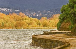 Vancouver Downtown, Stanley Park - Seawall Promenade.jpg