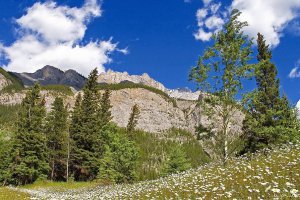 Banff National Park - Cascade Mountain, Alberta, Canada.jpg