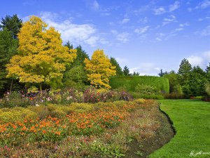 Vancouver, VanDusen Garden.jpg