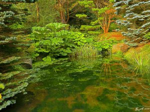 Vancouver, VanDusen Garden 3.jpg