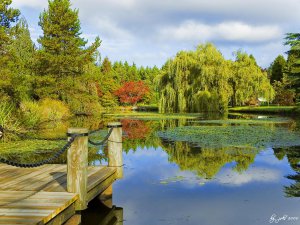 Vancouver, VanDusen Garden 2.jpg