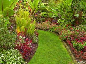 Vancouver, VanDusen Garden 4.jpg