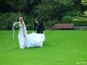 Chilliwack, Minter Gardens - Wedding Day.jpg